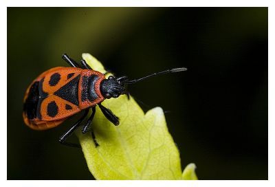 2007-10-08 / patanock
par patanock
