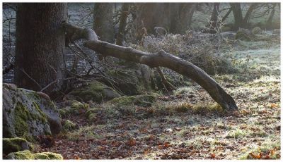 2007-11-18 / neosilencers
par neosilencers
