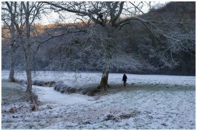 2007-12-29 / neosilencers
par neosilencers
