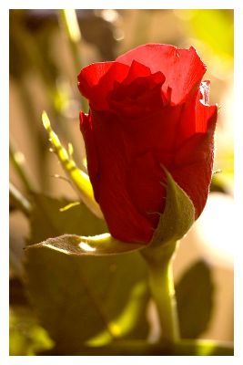 2008-01-02 / patanock
par patanock
