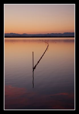 2007-12-04 / Castor66
par Castor66
