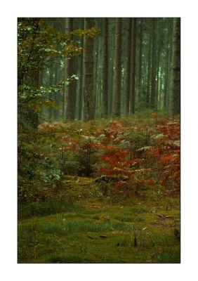 2007-09-30 / Sijam
par Sijam
