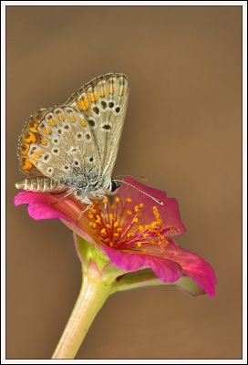 2007-09-23 / ISO_p
par ISO_p
