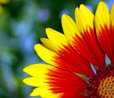 2007-11-06 / NicoleA
par NicoleA
