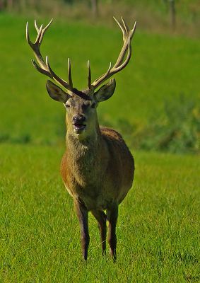 2007-10-07 / rollsing
par rollsing
