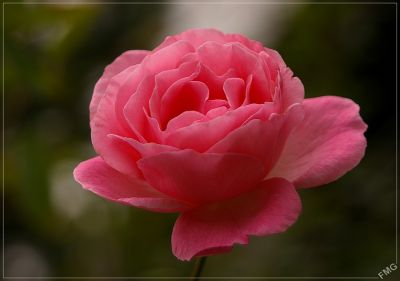 2007-09-20 / FMG
par FMG
