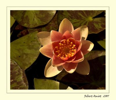 2007-10-13 / ramiot
par ramiot
