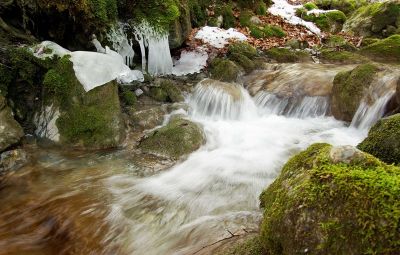 2007-12-24 / fred_73
par fred_73
