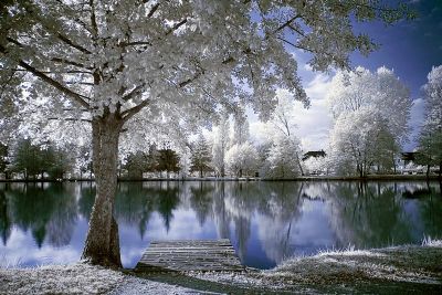 2007-11-30 / KaryoMax
par KaryoMax
