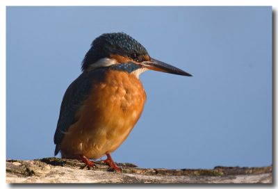 2007-10-22 / Olivier_D
par Olivier_D
