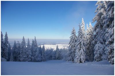 2007-12-21 / klicou
par klicou
