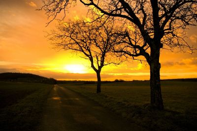 2007-12-12 / Klicou
par Klicou
