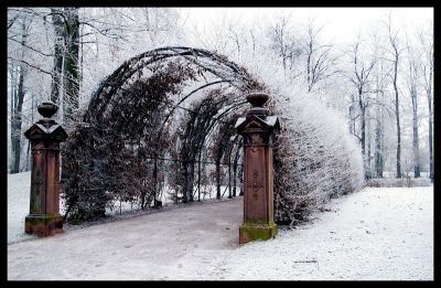 2008-01-01 / daisuke
par daisuke
