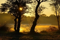 Nom du fichier=3121_12_10_08_8_19_53.jpg
Taille du fichier=196Ko
Dimensions : 796x530
Ajouté le : 14 Novembre 2008 3121_12_10_08_8_19_53.jpg