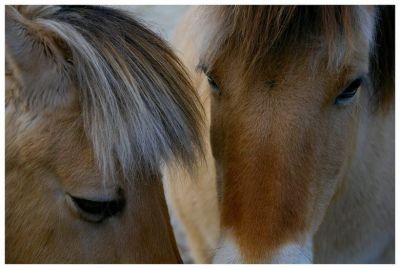 2008-01-20 / neosilencers
par: neosilencers
