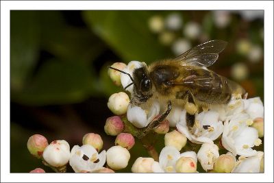 2008-02-17 / patanock
Par: patanock
