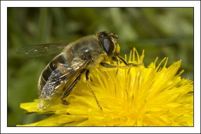 2008-03-21 / patanock
Par: patanock
