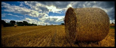 2008-09-15 / m3zcal
Par: m3zcal -[ Photographies HDR et DRI ]-
