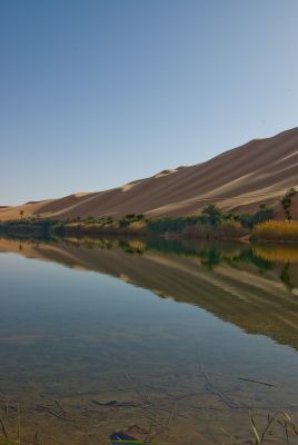 2008-02-24 / Gin.net
Par: Gin.net
