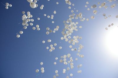 2008-03-19 / damzed
Par: damzed
