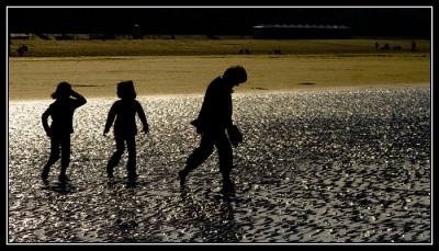 2008-10-03 / orahn59
Par: orahn59 [ Reflets et ombres ]
