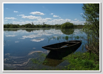 2009-04-15/ Rber44
Par:Rber44- Vos series - Humide, vous trouvez - 
