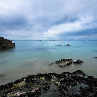 2008-08-04 / codenssen
Par: codenssen -[ La mer, ocean ]-
