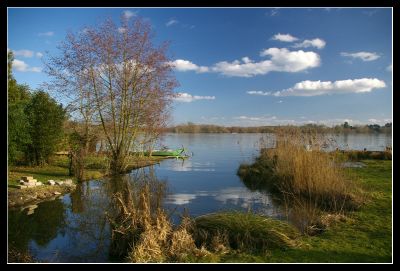 2008-02-07 / Insane
Par: Insane
