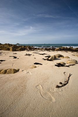 2008-04-02 /  codenssen
Par: codenssen
