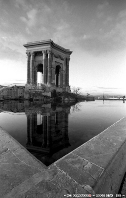 2009-01-19 / CarbwounR
Par: CarbwounR  - (serie)  -  Ballades dans Montpellier en argentique  -
