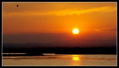 2009-07-05 / JoCar
Par: JoCar -[ Coucher / Lever de soleil ]-
