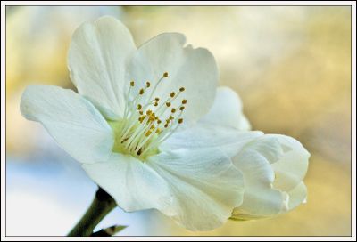 2008-02-08 / ISO_p
Par: ISO_p
