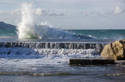 2008-03-13 / baboulin
Par: baboulin
