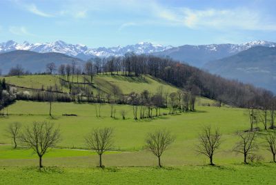 2008-03-16 / LeTaich11
Par: LeTaich11
