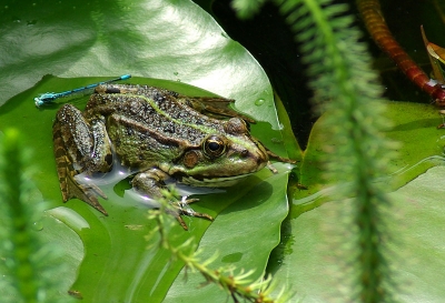 2008-06-09 /  MouLaG Ã”fr 
Par:  MouLaG à”fr 
