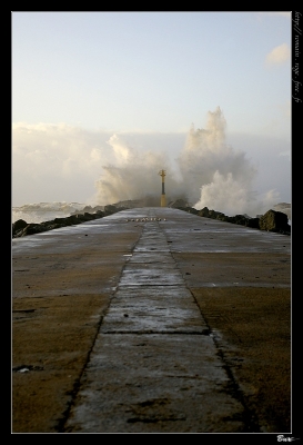 2009-01-26 / Butch30
Par: Butch30 - Serie- (Tempete sur la cote basque )


