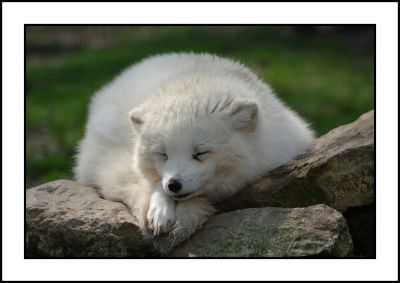 2008-04-17 /  jeff67560
Par:  jeff67560
