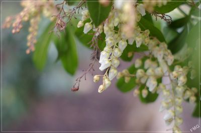 2008-02-22 / FMG
Par: FMG
