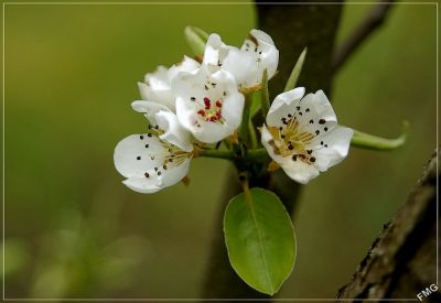 2008-04-20 / FMG
Par: FMG
