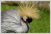 Nom du fichier=2933545439_c3391046df_o.jpg
Taille du fichier=131Ko
Dimensions : 800x542
Ajouté le : 13 Octobre 2008 2933545439_c3391046df_o.jpg