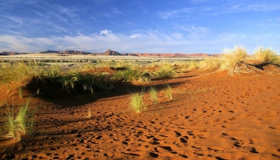 2008-05-25 / domaine
Par : domaine
