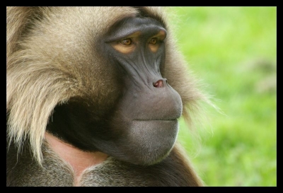 2008-05-30 / m3zcal
par: m3zcal
Mots-clés: Par: