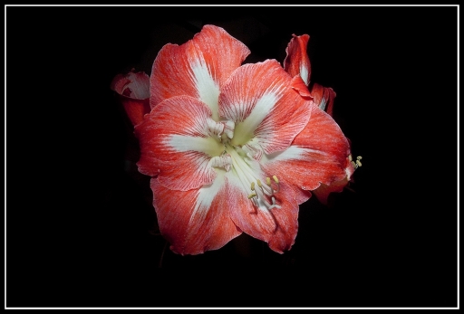 Février 2011 - jeanfi.moyen
Fevrier 2011 - jeanfi.moyen
