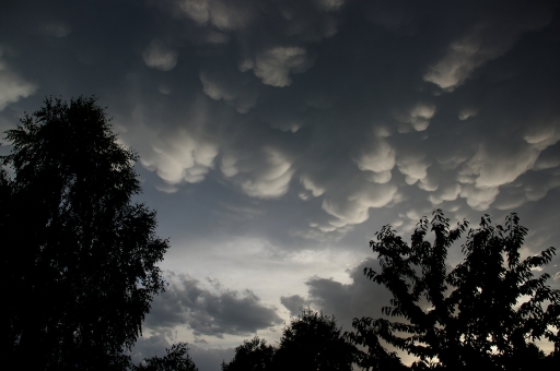 Mars 2011 - nerone
Mars 2011 - nerone
