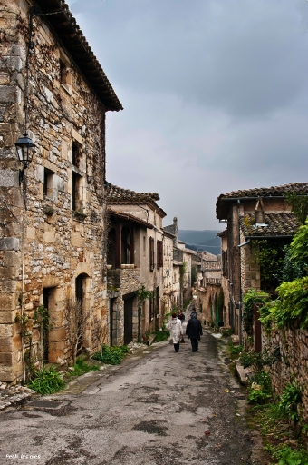 Mars 2011 - Pech_les_oies
Mars 2011 - Pech_les_oies
