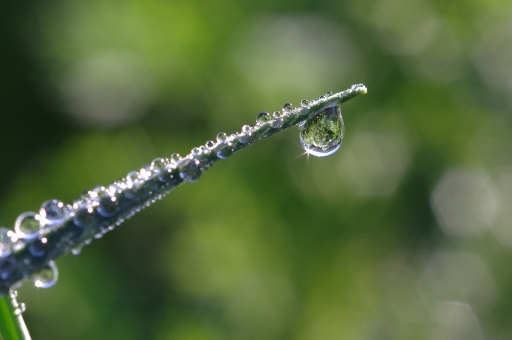 Mai 2011 - sorcier
Mai 2011 - sorcier
