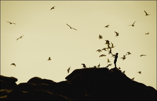 Juin 2011 - SCALPA
Juin 2011 - SCALPA
