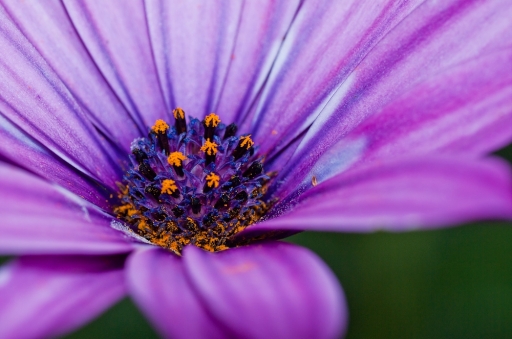 Août - bObOt55
Aout - bObOt55
