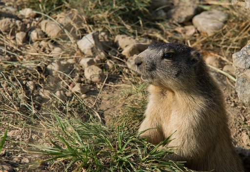 Octobre 2011 - neosilencers
Octobre 2011 - neosilencers
