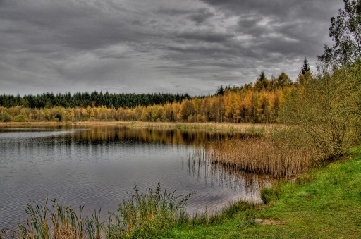 Novembre 2011 - neosilencers
Novembre 2011 - neosilencers
